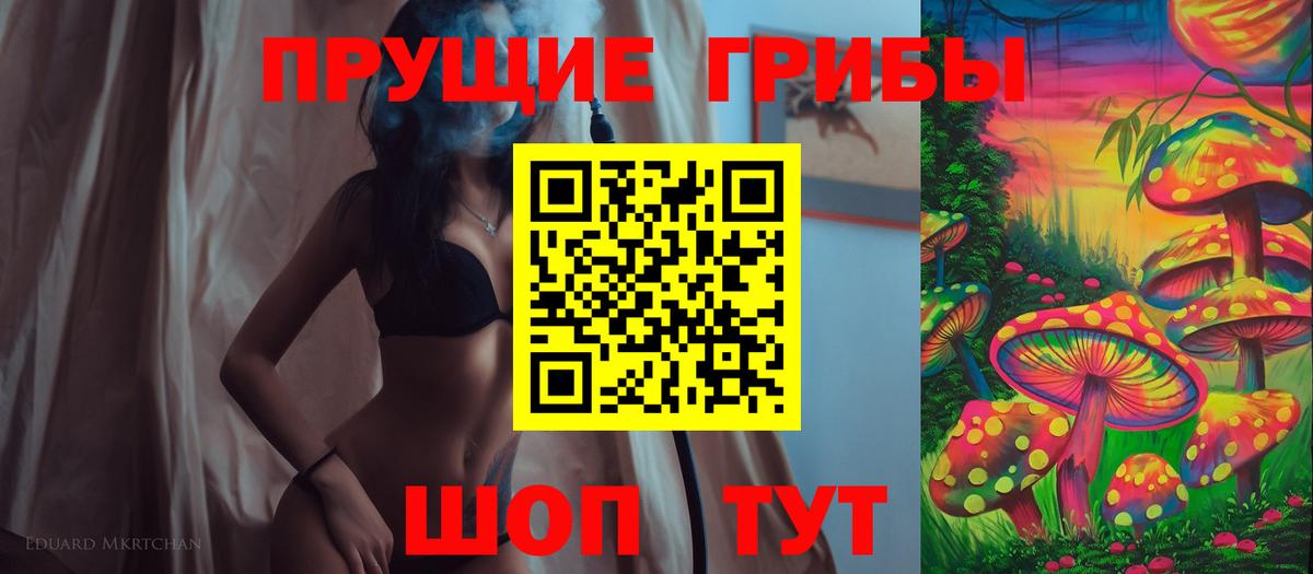 Дмитров  Псилоцибиновые грибы ЛСД  Вход с VPN 