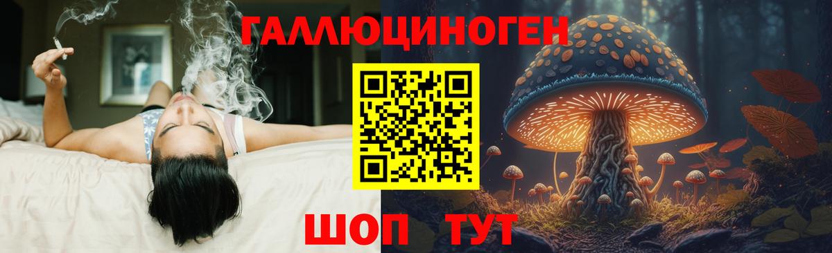 Галлюциногенные грибы Cubensis Дмитров